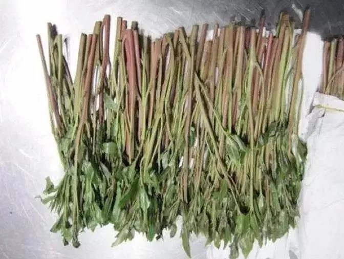 华成理工青少年禁毒宣传