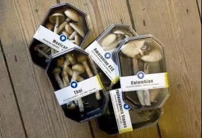 华成理工青少年禁毒宣传